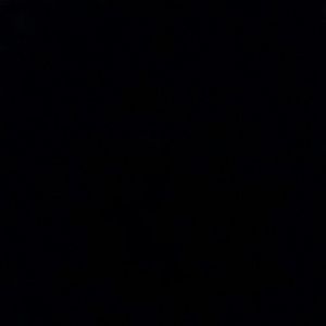 Meet your Posher, Warren