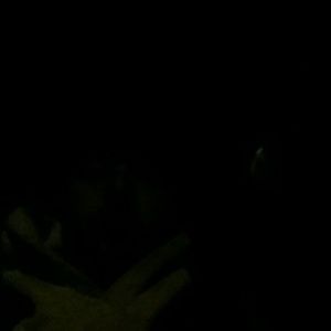 Meet your Posher, Luke