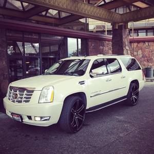 Meet your Posher, Gentlman