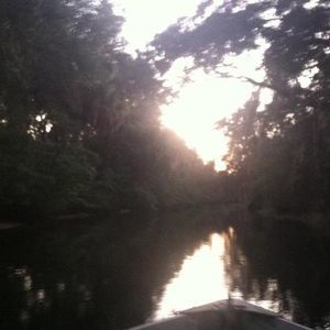 Meet your Posher, Johnny