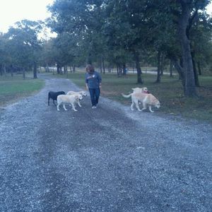 Meet your Posher, Debbie kendrick