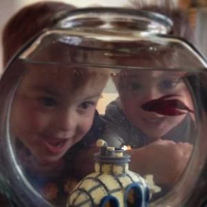 Meet your Posher, Susan