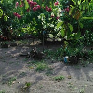 Meet your Posher, Elmer