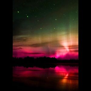 Meet your Posher, Paula