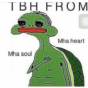 Meet your Posher, Quan