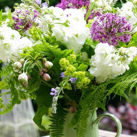 Meet your Posher, Melody - Picture 1 of 1