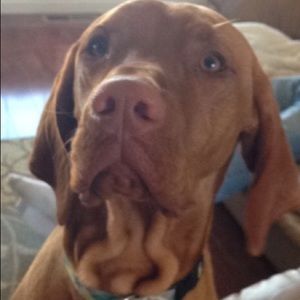 Meet your Posher, Bianca