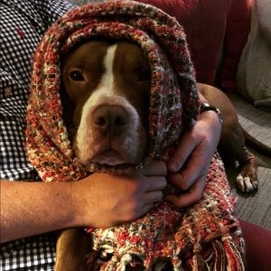 Meet your Posher, Veronica