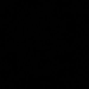 Meet your Posher, Noemi