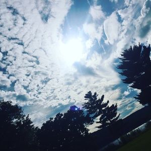 Meet your Posher, Guillermo