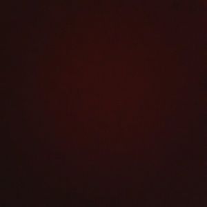 Meet your Posher, Hector