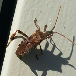 Meet your Posher, Roger