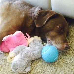 Meet your Posher, Suzanne