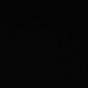 Meet your Posher, Mollie