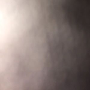 Meet your Posher, Loretta