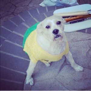 Meet your Posher, Ana