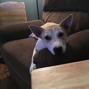 Meet your Posher, Heather