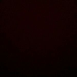 Meet your Posher, Hector