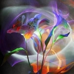 Meet your Posher, Maureen e.