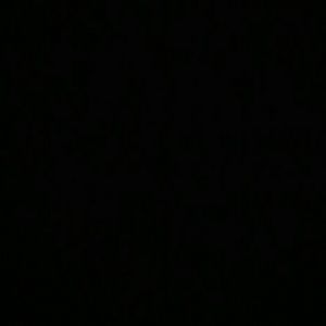 Meet your Posher, Dave