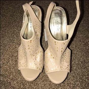 Dandelion cork wedges