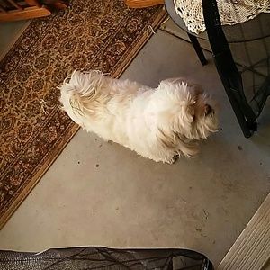 Meet your Posher, Becky