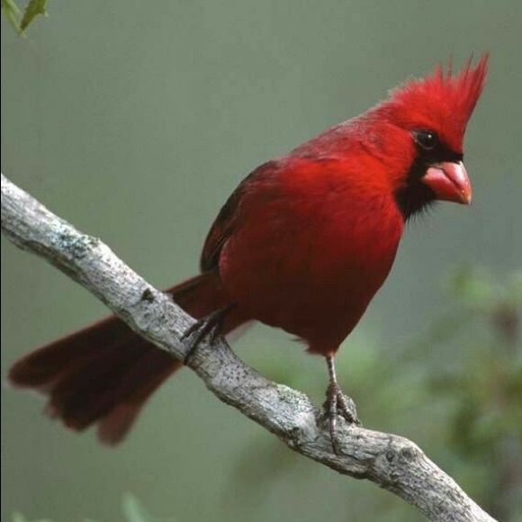 Meet your Posher, Katy