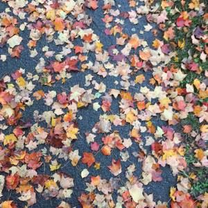 Meet your Posher, Jiaqi