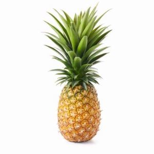 Meet your Posher, Danny