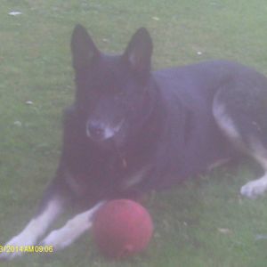 Meet your Posher, Rosekyle