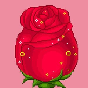 Meet your Posher, Isabella