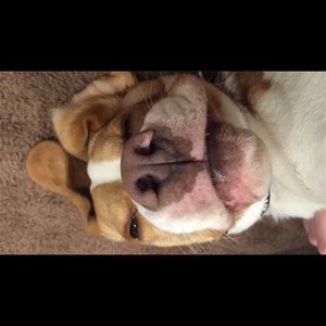 Meet your Posher, Kristina