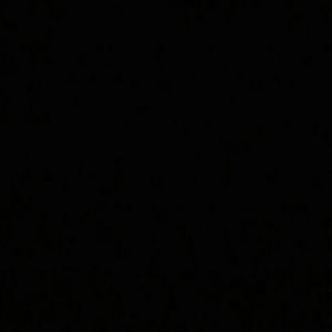 Meet your Posher, Lora