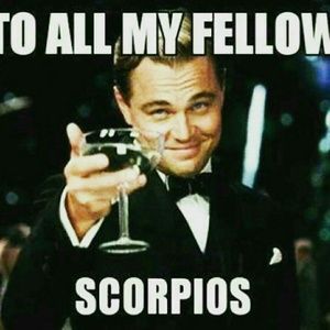 Meet your Posher, Marcellus