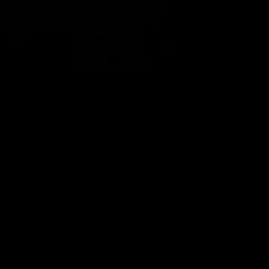 Meet your Posher, Noe