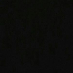 Meet your Posher, Donneysha