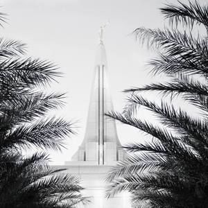 Meet your Posher, Barbie