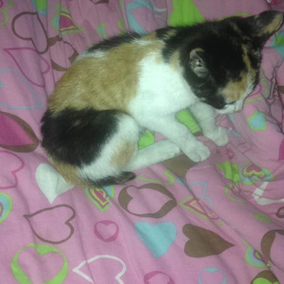 Meet your Posher, Jacquelyn - Picture 1 of 1