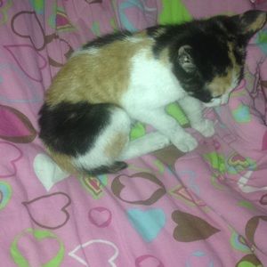 Meet your Posher, Jacquelyn