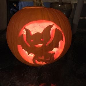 Meet your Posher, Maggie