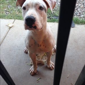 Meet your Posher, Maritza