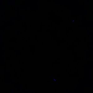 Meet your Posher, Sasuke