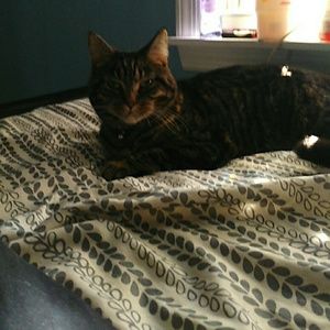 Meet your Posher, Mike