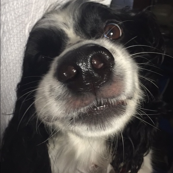 Meet your Posher, Katey