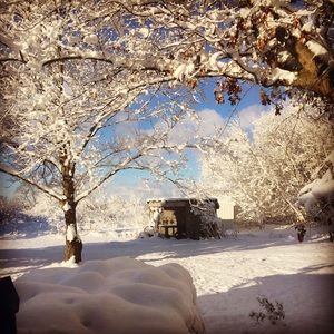 Meet your Posher, Sandy