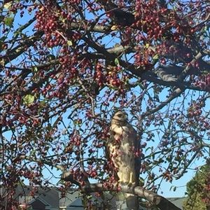 Meet your Posher, Jody