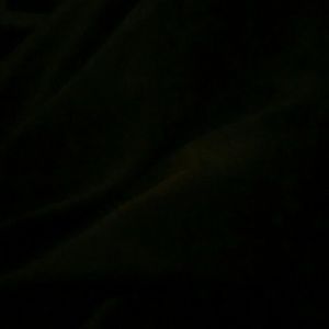 Meet your Posher, Rosalia