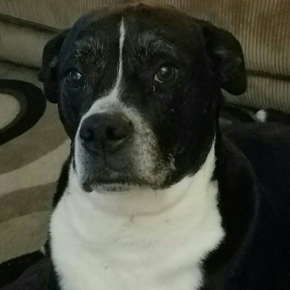 Meet your Posher, Barbel