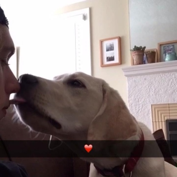 Meet your Posher, Sebastian - Picture 1 of 1