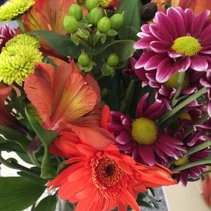 Meet your Posher, Mara